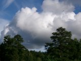 100_0061.JPG