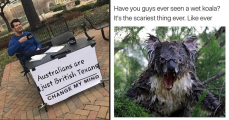 1780575444314.png