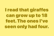 654189521.jpg