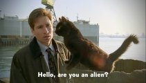 X-Files.jpg