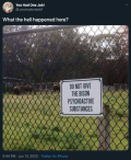 82142789_n.png