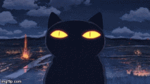 Cat nuke.gif Cat nuke.gif
