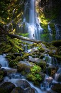 Proxy Falls-2.jpg Proxy Falls-2.jpg