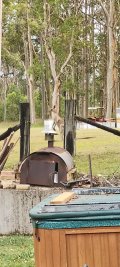 Kangaroo.jpg Kangaroo.jpg