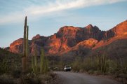 Organ Pipe Cactus National Monument.jpg Organ Pipe Cactus National Monument.jpg