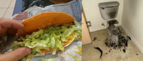 Taco Bell Lettuce.jpg