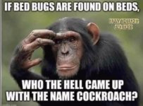 FB_IMG_1777995632505.jpg