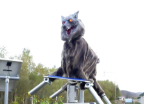wolf.png